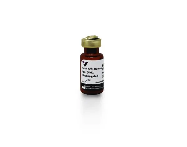Goat Anti-Human IgG Antibody (H+L), Unconjugated