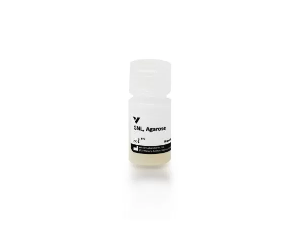 Galanthus Nivalis Lectin (GNL), Agarose bound