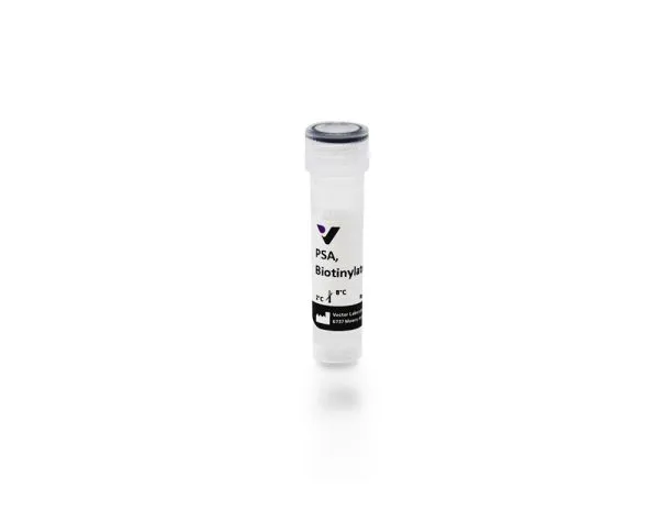 Pisum Sativum Agglutinin (PSA), Biotinylated