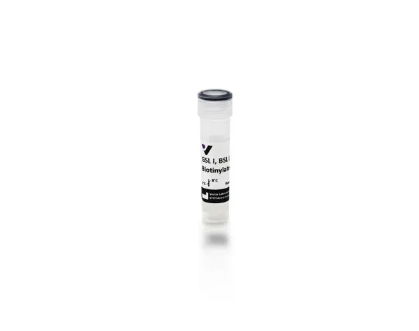 Griffonia (Bandeiraea) Simplicifolia Lectin I (GSL I, BSL I), Biotinylated