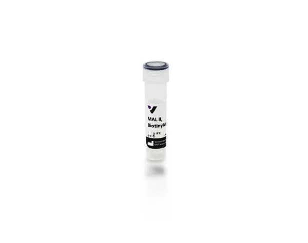 Maackia Amurensis Lectin II (MAL II), Biotinylated