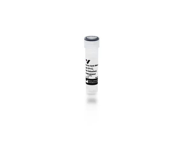 Horse Anti-Mouse IgG Antibody, rat adsorbed (H+L), Biotinylated