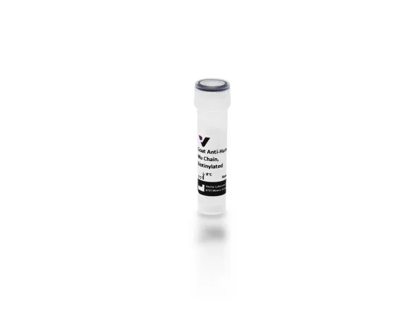 Goat Anti-Human IgM Antibody, mu chain specific, Biotinylated