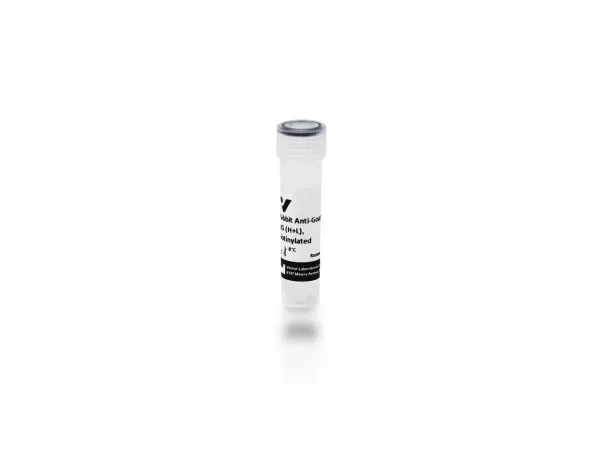 Rabbit Anti-Goat IgG Antibody (H+L), Biotinylated
