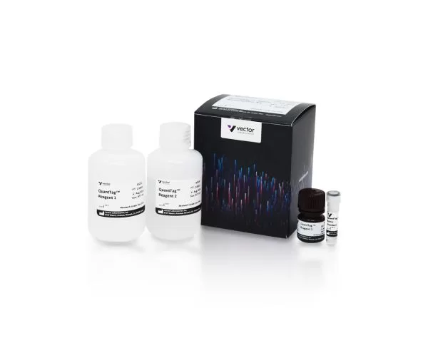 bdk 2000 quanttag biotin quantitation kit jpg