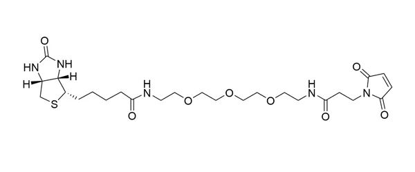 Biotin-PEG3-Maleimide