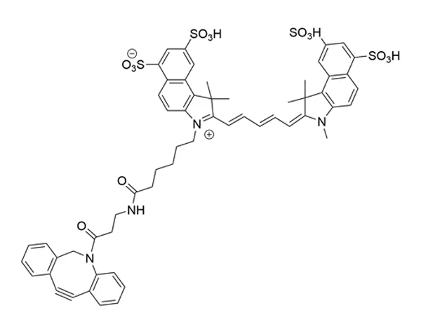c r yba b y1 Cy5.5 Azide | Vector Labs