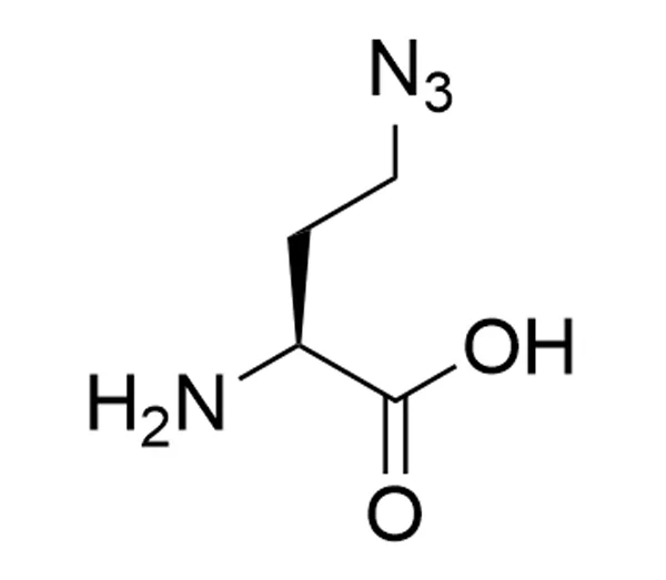 L-Azidohomoalanine (AHA)