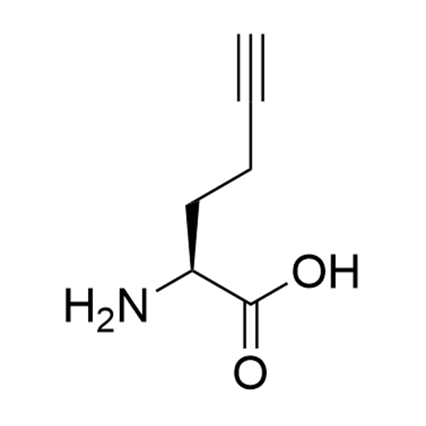 L-Homopropargylglycine (HPG)