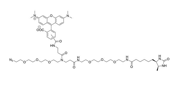 TAMRA Desthiobiotin Azide | Vector Labs