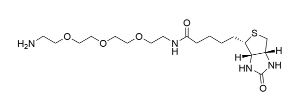 Biotin-PEG3-Amine