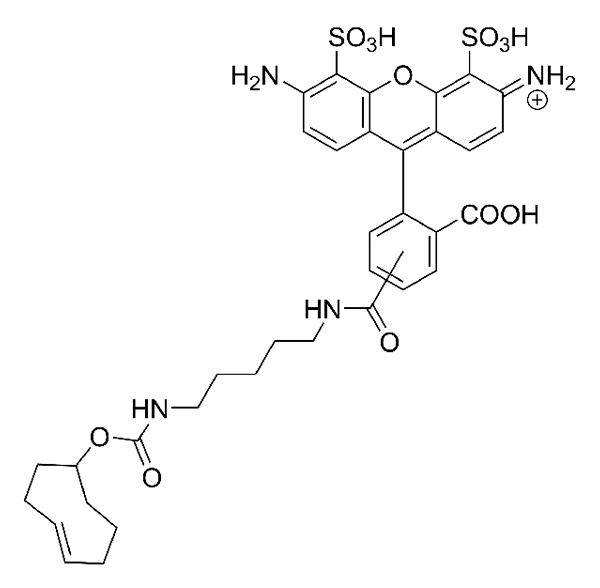 AZDye 594 Alkyne | Vector Labs