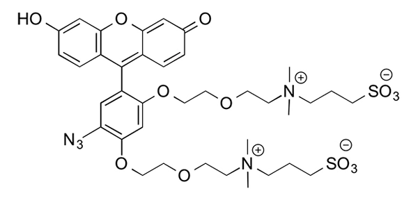 CalFluor 488 Azide