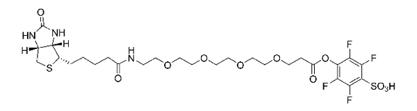 Biotin-PEG4-STP Ester