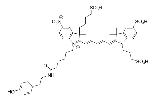 AZDye 647 Tyramide | Vector Labs