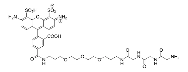 AZDye 488 Gly-Gly-Gly | Vector Labs