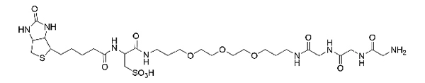 Biotin Gly-Gly-Gly