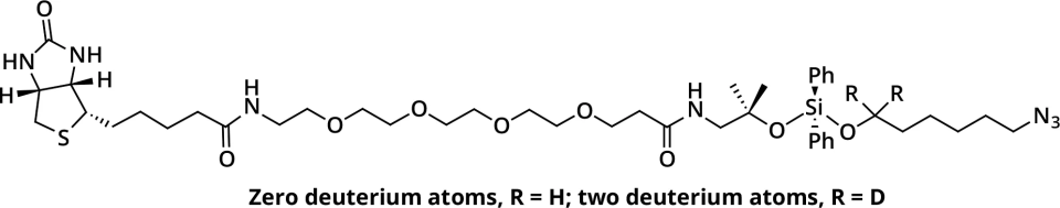 DADPS H2/D2 Biotin Azide Pack - 2 vials