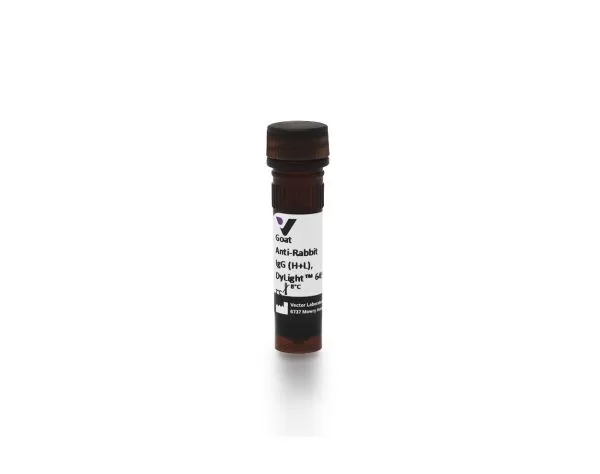 Goat Anti-Rabbit IgG Antibody (H+L), DyLight 649