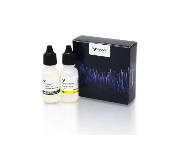 VectaFluor™ Horse Anti-Mouse IgG, DyLight™ 594 Antibody Kit 2 di 2794 15 vectafluor horse anti mouse dylight 594 antibody kit jpg