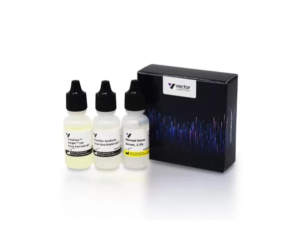 VectaFluor Excel Amplified Anti-Rabbit IgG, DyLight 594 Antibody Kit 2 dk 1594 vectafluor excel amplified anti rabbit dylight 594 1 jpg