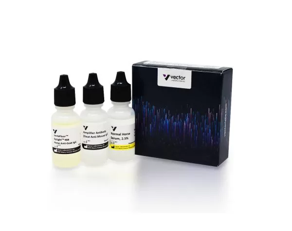 VectaFluor Excel Amplified Anti-Mouse IgG, DyLight 488 Antibody Kit 2 dk 2488 vectafluor excel amplified anti mouse dylight488 jpg