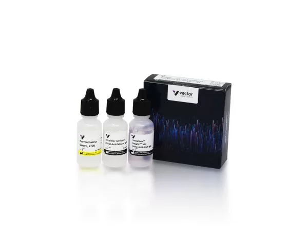 VectaFluor Excel Amplified Anti-Mouse IgG, DyLight 594 Antibody Kit