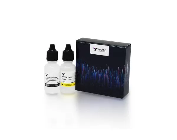 VectaFluor Duet Immunofluorescence Double Labeling Kit, DyLight 594 Anti-Rabbit (red), DyLight 488 Anti-Mouse (green) 14 dk 8828 vectafluor duet if double labeling jpg