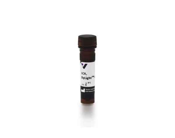 Lens Culinaris Agglutinin (LCA), DyLight 649 | Vector Labs