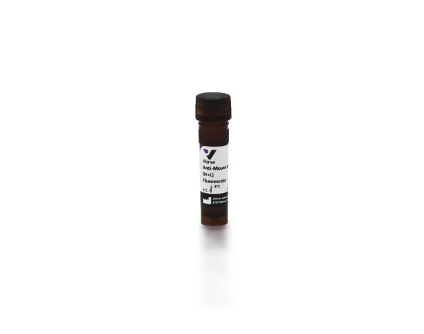 Horse Anti-Mouse IgG Antibody (H+L), Fluorescein