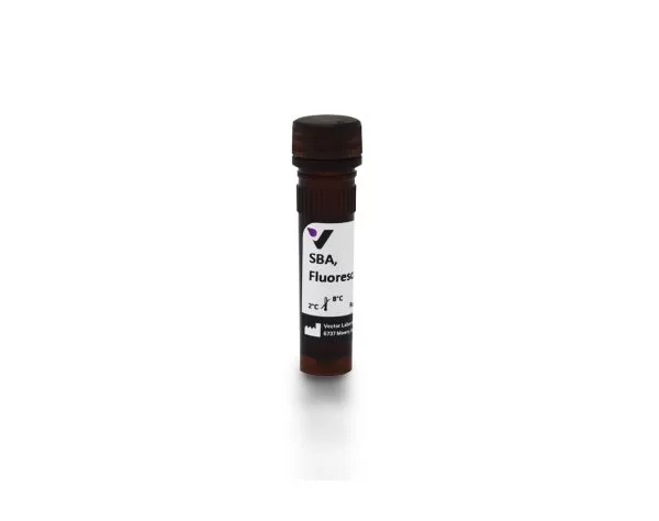 Soybean Agglutinin (SBA), Fluorescein