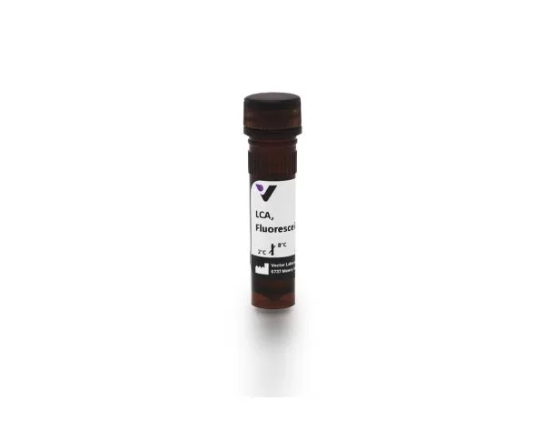 Lens Culinaris Agglutinin (LCA), Fluorescein