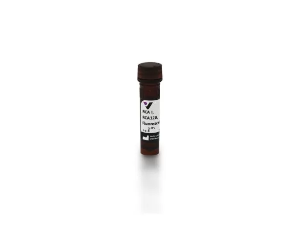RCA120, Fluorescein | Vector Labs