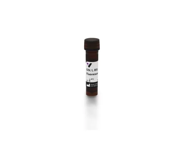 Griffonia (Bandeiraea) Simplicifolia Lectin I (GSL I, BSL I), Fluorescein