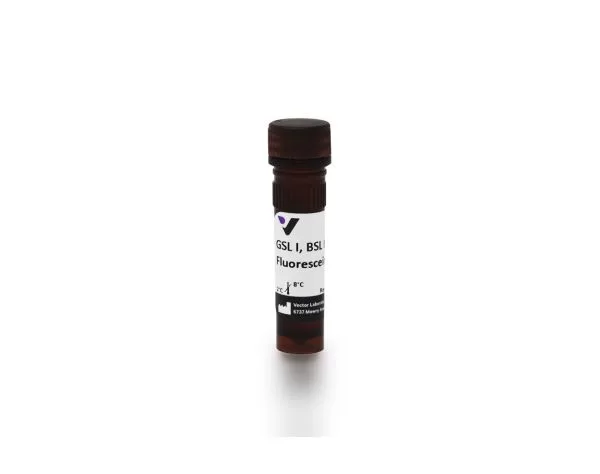fl 1101 5 griffonia bandeiraea simplicifolia lectin gsli bsli fluorescein jpg