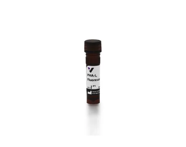 Phaseolus Vulgaris Leucoagglutinin (PHA-L), Fluorescein