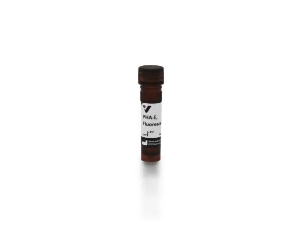 Phaseolus Vulgaris Erythroagglutinin (PHA-E), Fluorescein