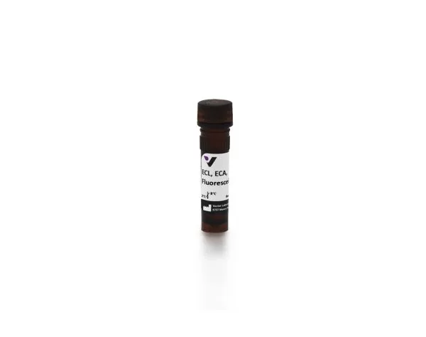 fl 1141 5 erythrina cristagalli ecl eca fluorescein jpg