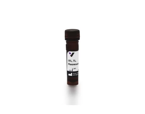 fl 1171 1 lycopersicon esculentum lectin lel tl fluorescein jpg