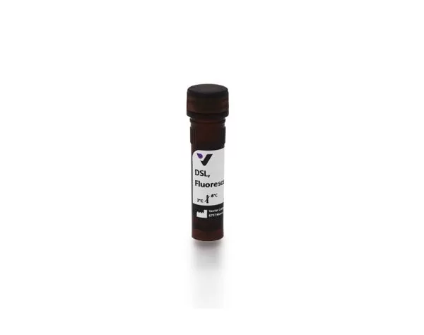 Datura Stramonium Lectin (DSL), Fluorescein