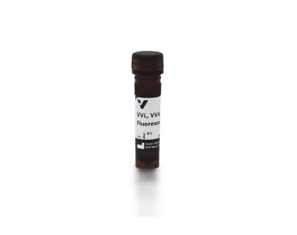 fl 1231 2 vicia villosa lectin vvl vva fluorescein jpg