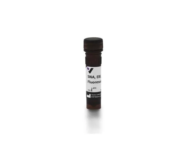 Sambucus Nigra Lectin (SNA, EBL), Fluorescein