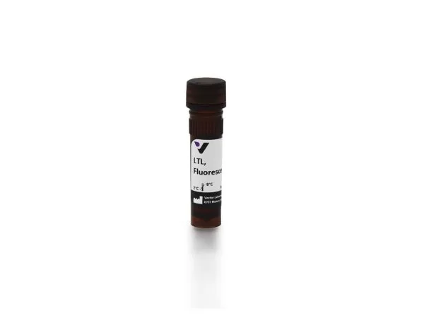 fl 1321 2 lotus tetragonolobus lectin ltl fluorescein jpg