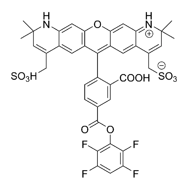 AZDye 568 TFP Ester | Vector Labs