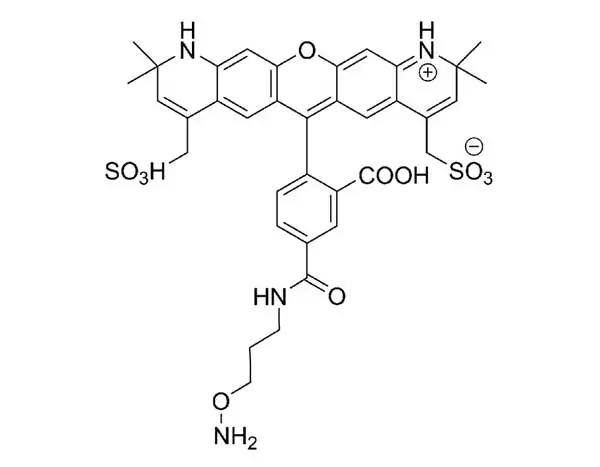 AZDye 568 Hydroxylamine | Vector Labs