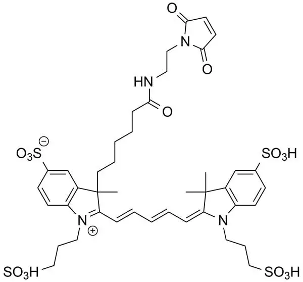 ぉみ MB 594 Maleimide | Vector Labs