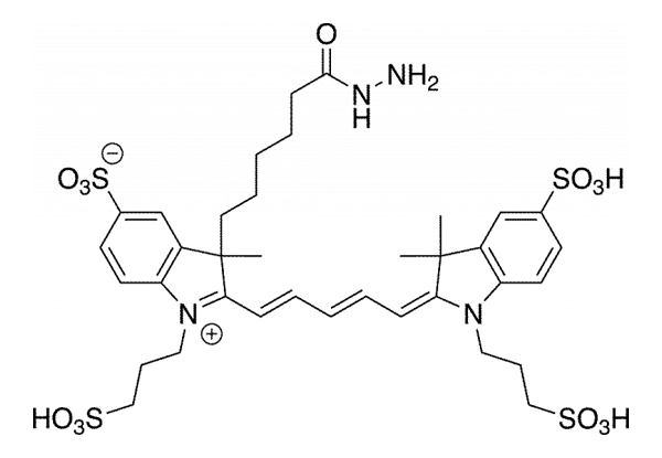 AZDye 647 Hydrazide | Vector Labs