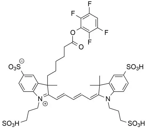 6,8-Difluoro-7-hydroxy-4-methylcoumarin NHS Ester | Vector Labs