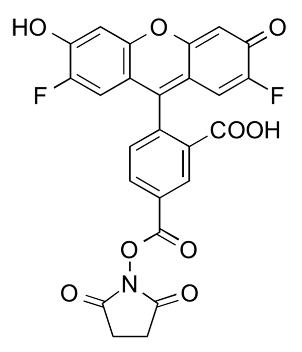 Difluorocarboxyfluorescein NHS Ester, 5-isomer