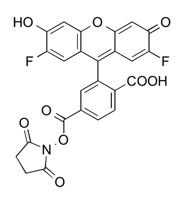 Difluorocarboxyfluorescein NHS Ester, 6-isomer